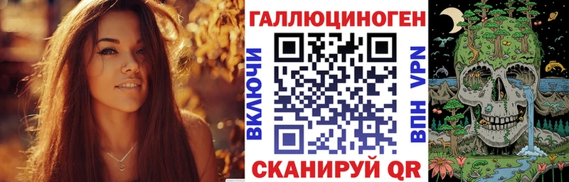 купить   Кяхта  Псилоцибиновые грибы GOLDEN TEACHER 