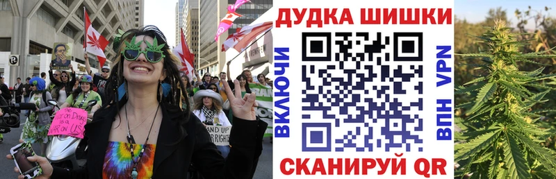 Каннабис сатива  Кяхта 